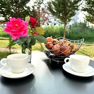 https://shell-home.albaniahotels.org